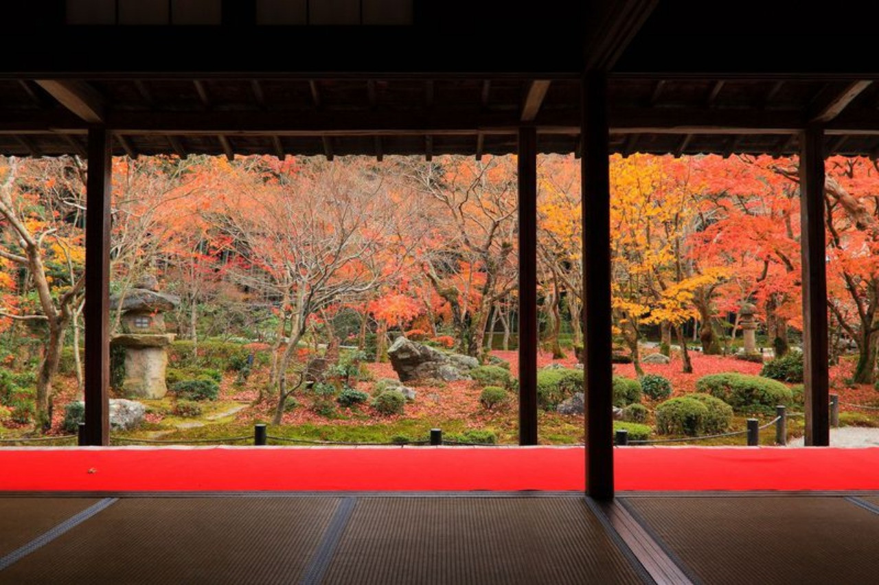 着物をレンタルして秋の京都観光￥１９５０～